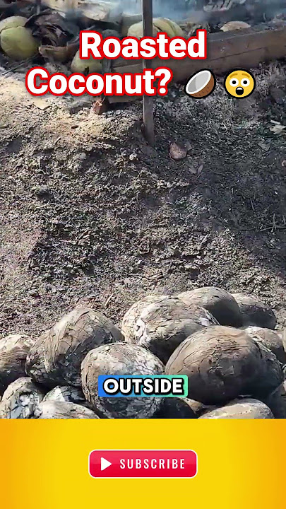 Roasted Coconut You Have to Try This! #shorts #short #viral #viralvideos