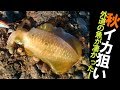 今季初！秋のアオリイカを狙ってたら予想外の魚が爆釣に！