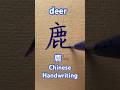How To Write Deer鹿 In Chinese Handwriting Calligraphy Tutorial 書道 漢字 Kanji Tutorial Casual How To Write Deer鹿 In Chinese Handwriting Calligraphy Tutorial 書道 漢字 Kanji Tutorial Casual