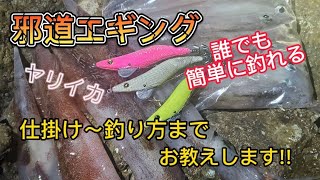 邪道エギング ヤリイカ釣りの仕掛け 釣り方までお教えします 最新 全国人気釣りyoutube動画まとめサイト