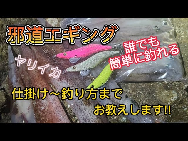 邪道エギング ヤリイカ釣りの仕掛け 釣り方までお教えします Youtube