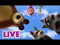 🔴 LIVE STREAM 🎬 Masha and the Bear 🤠🐘 Backyard Safari 🦒🏡