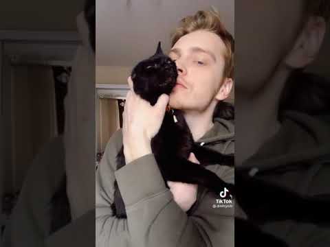 Dmitryhitr- guy hand on cats mouth poker face meow meow meow meow TikTok