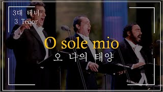 [한글자막] O sole mio (오 나의태양)(오솔레미오)(3대 테너)