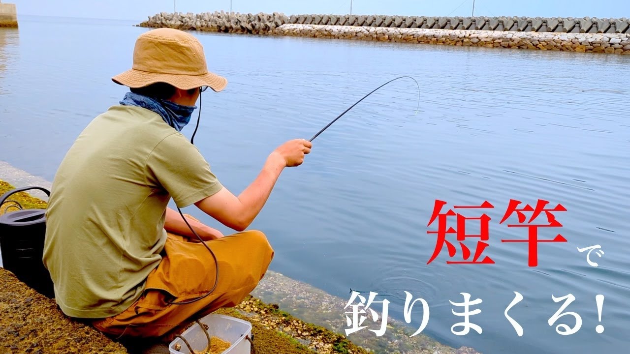 「豆アジ」を最弱の竿で1匹ずつ釣る人【のべ竿クラブ】