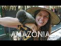 FLORESTA AMAZÔNICA // hotel de selva na Amazônia