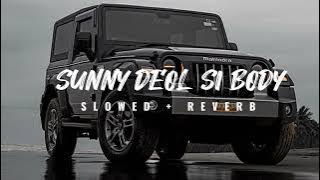 Sunny Deol Si Body Re (Slowed   Reverb) Raju Punjabi | Choudar Jatt ki