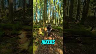 Hikers On The Bike Trails…