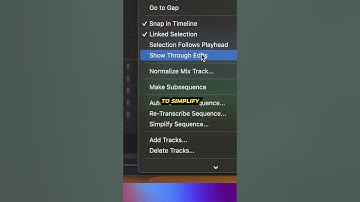 ORGANIZE Your MESSY TIMELINE in SECONDS With SIMPLIFY SEQUENCE (PREMIERE PRO TUTORIAL)