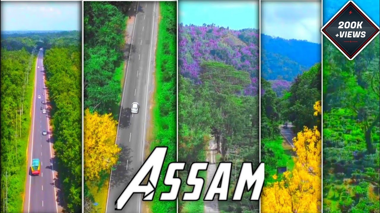 Mood Assamese Status   Assamese Status  Beautiful Assam dipencreation4314