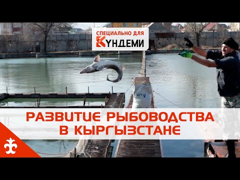 Развитие рыбоводства в