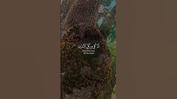 قرآن كريم $$$$$$كريم قرآن @ يريح النفس