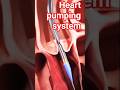 #anatomy #doctor #satisfying #hospital #implantation #science #cardiacrehab #biology #viral #angio