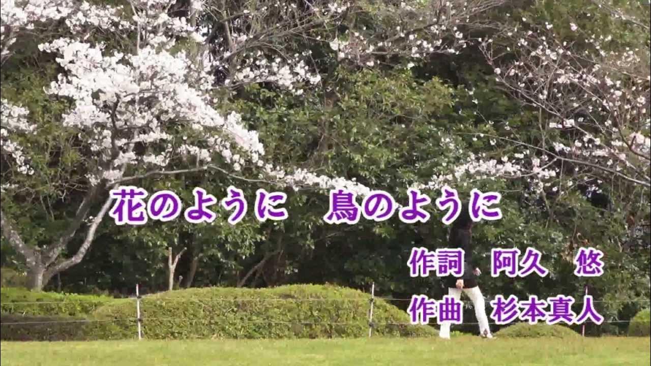 花のように鳥のように♪カラオケ YouTube 花のように鳥のように♪カラオケ YouTube