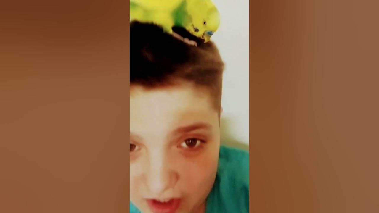 Это мой питомец🦜🦜 - YouTube