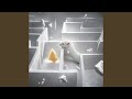 Rat in a Maze (Furry Allegations)
