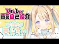 【自己紹介】Vtuber一問一答自己紹介/ Vtuber Q&A self introduction【天Lちぃ】
