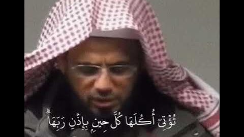 (و مثل كلمة طيبة كشجرة طيبة ) سورة إبراهيم تلاوة خاشعة هادئة