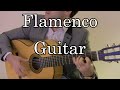 Flamenco guitar  alhambra 5f  aria teimourzadeh