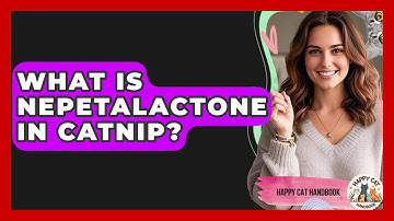 What Is Nepetalactone In Catnip? - Happy Cat Handbook