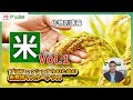 【徹底解説講座】米・水稲・最大収量を決めるポイントとタイミングとは？米農家が知るべき必須知識とは？