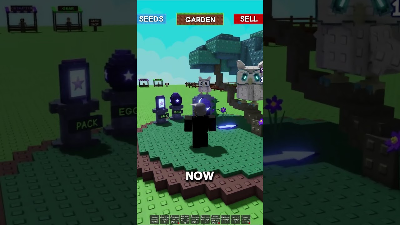 Moonlight Event Back On NOW! 