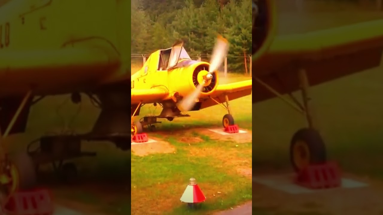 Cold Start After Years Radial Engine 