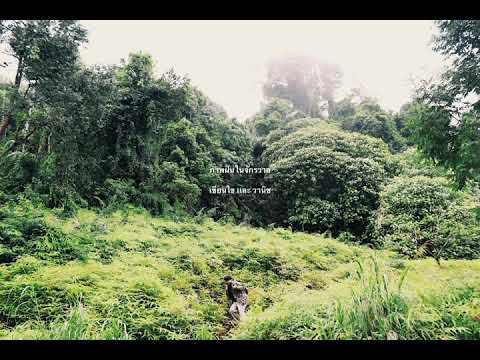 ภาพฝันในจักรวาล - เขียนไข และ วานิช (Full MV Cover)