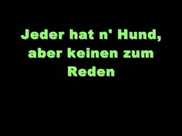 Peter Fox- Schwarz zu Blau (Lyrics on screen) class=