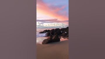 القرآن راحة النفسيه تلاوة خاشعة 💫⚘️حالات واتس اب قرآن كريم Quran Status 🌹🌹