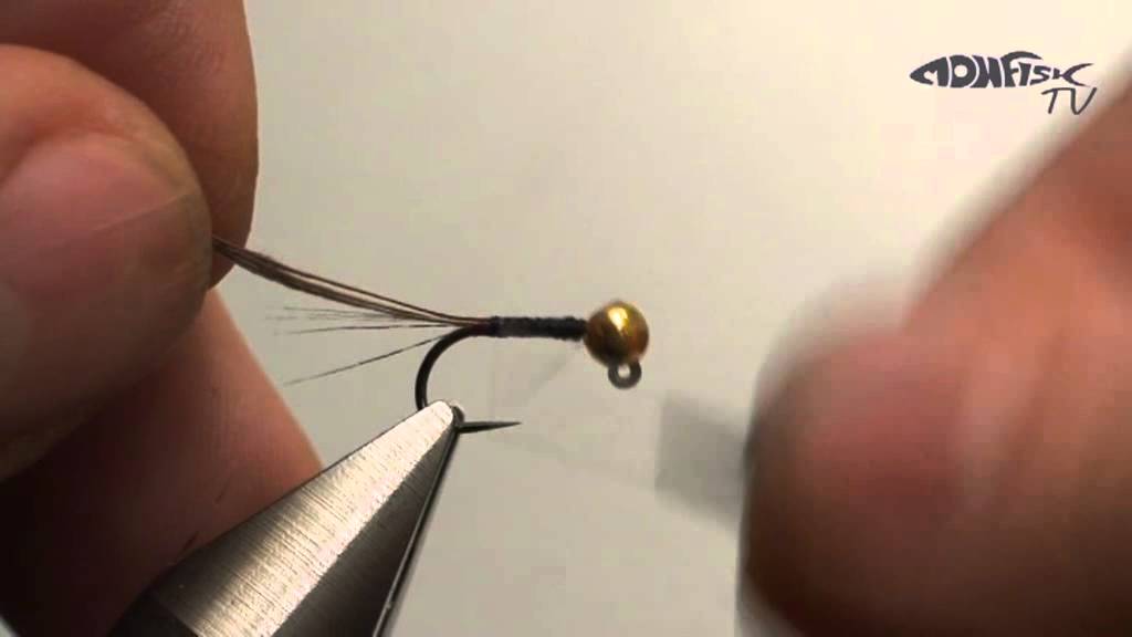 bazanti sirupcik dvd