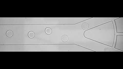 Movie 6-1 the sorting of propylene carbonate (95 V; 50 kHz; 50 dps).