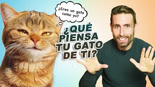 ¿QUÉ PIENSA TU GATO DE TI y cómo se siente contigo? 😸⁉️👱🏼‍♂️👩🏾| ¿Tu gato cree que eres un gato? by Mascotas y Familias Felices 31,316 views 4 months ago 10 minutes, 5 seconds