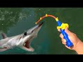 5 toy fishing rod catches big fish