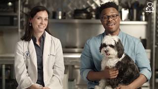 Pet Plate Founder Story