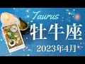 【おうし座】2023年4月♉️来てる！かなり特別な時間、大逆転からの完了、成就へ、奥深くから見つかる答え、運命のプレゼント