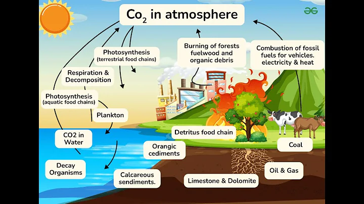 Unlocking the Secrets of the Carbon Cycle with Earth's Vital Ecosystem Process (4 Minutes)