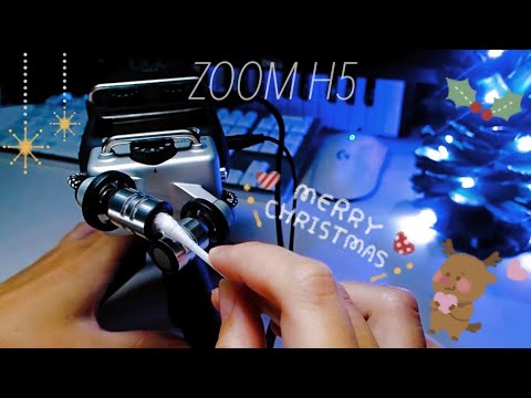 ZOOM H5に直接綿棒耳かきASMR