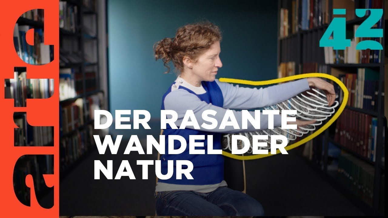 Stehen wir vor einer Turbo-Evolution? | 42 - Die Antwort auf fast alles Reupload | ARTE