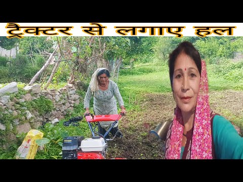 ट्रैक्टर से हल लगाया ,||Daily Pahadi Life Culture 😍||@Surajinegi 