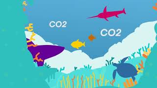 Coastal Ecosystems