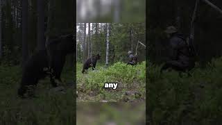 Cameraman Never Dies