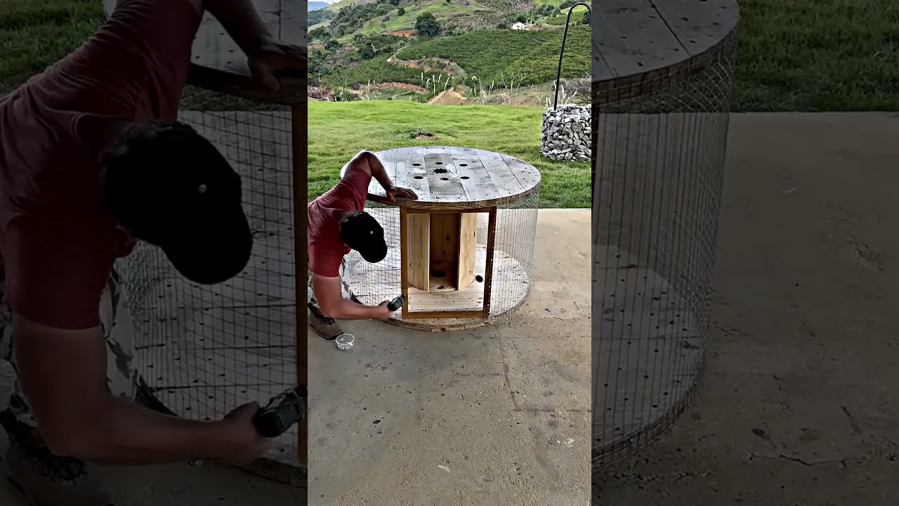 Ce Petit Gar On A Construit Une Incroyable Maison Pour Ses Poussins 