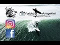 Fabio Angelini - Longboard Surf Italy - Marinaretti - Gong Surfboards