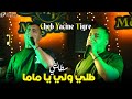 Yacine Tigre طلي ولي يا ماما Live 2025 Ft Melyar Staifi 