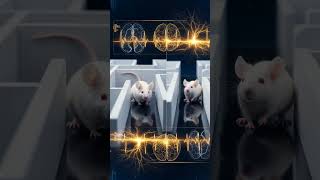 The Pill That Restores Lost Memories in Hours | Alzheimer’s Breakthrough #brain #memory