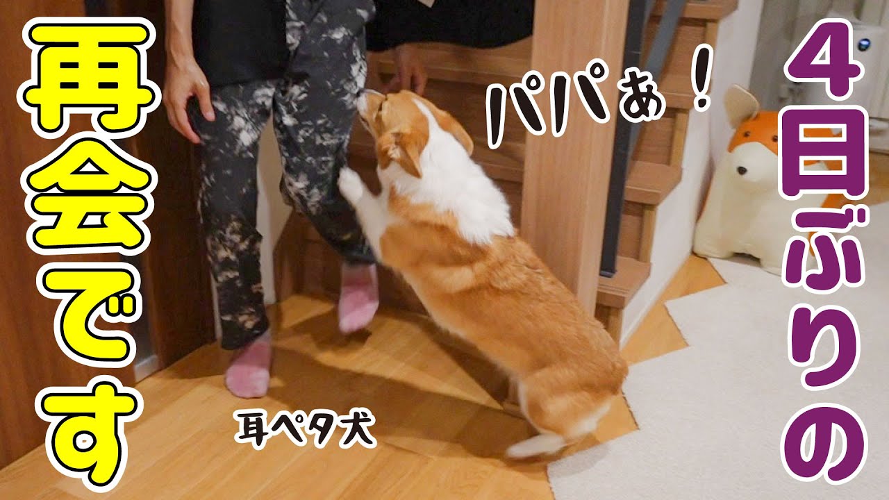 maxresdefault.jpg