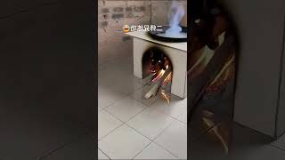 исцеление тик ток мир капибара люблю тебя смешно тик ток