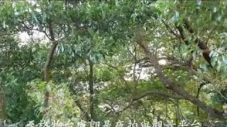 一起騎車去走走 最近的散心賞景點劍南山格物台