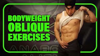 5 Bodyweight Oblique Exercises for At Home Workouts!